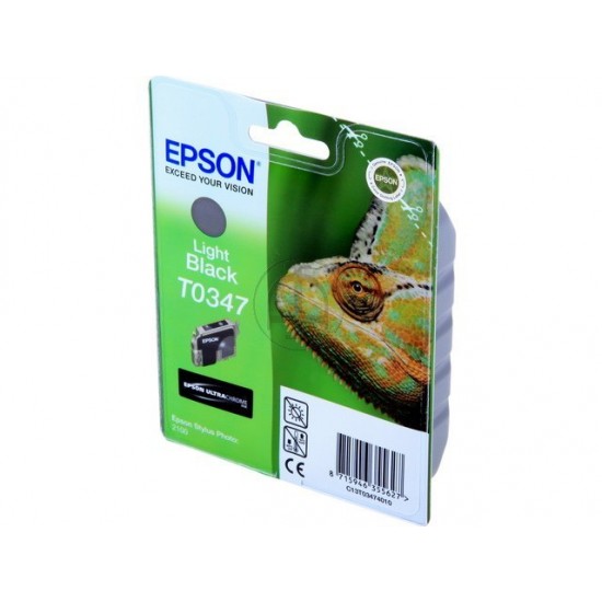 ORIGINAL Epson Ink Stylus Photo 2100 (Light Black) Tonerji in kartuše